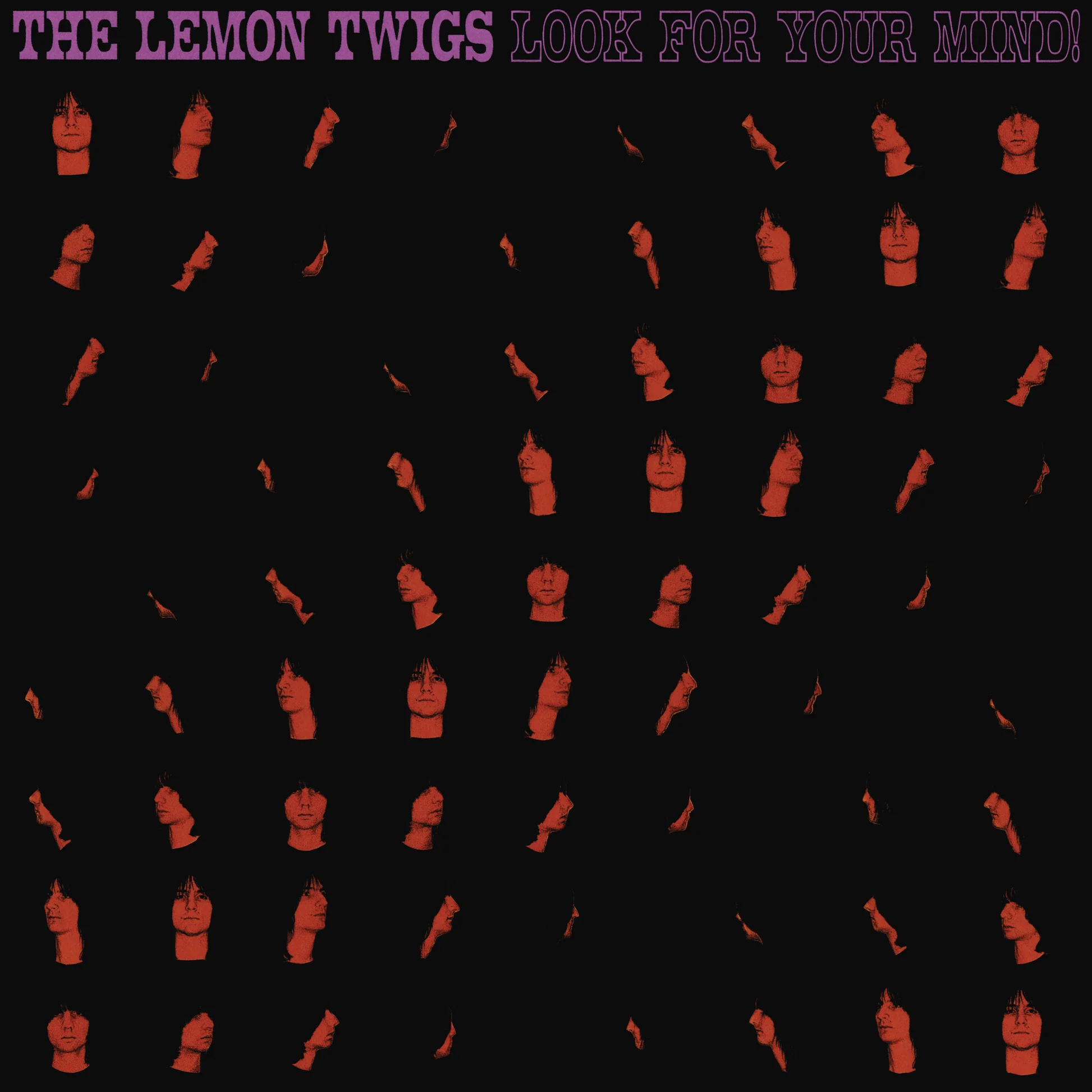 Record store shelves with new vinyl releases