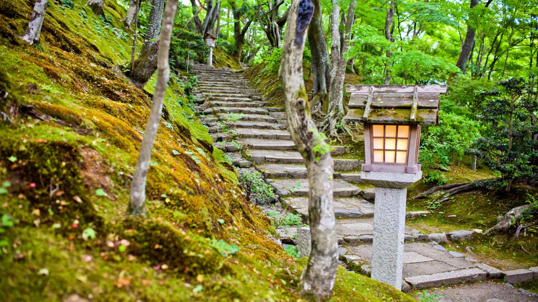 Mossy Kyoto temple path with stone lantern and forest steps